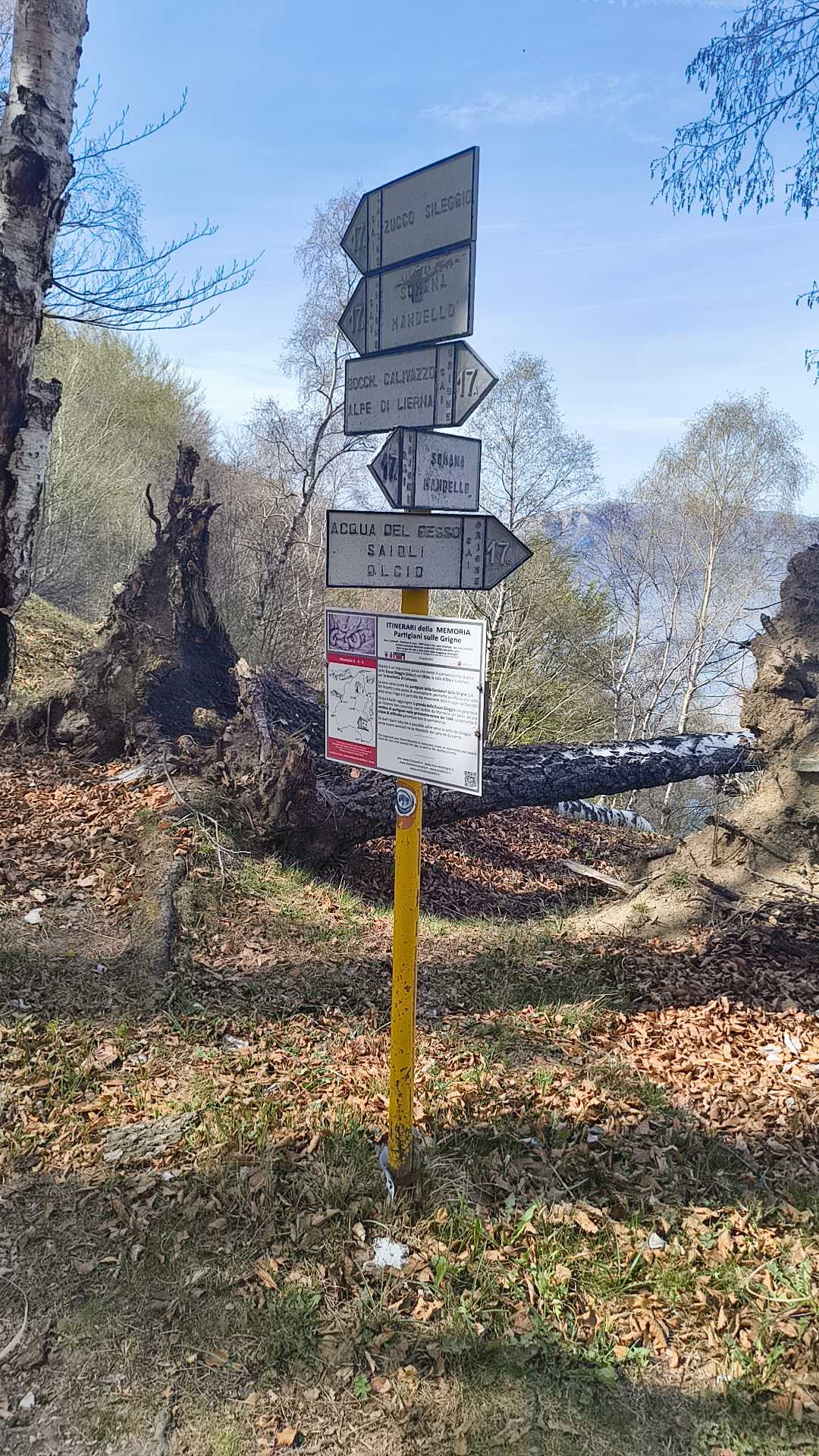 Foto n° 15 del trekking Ferrata Zucco Sileggio